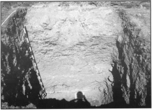 Fig. 13. Vista de la excavación